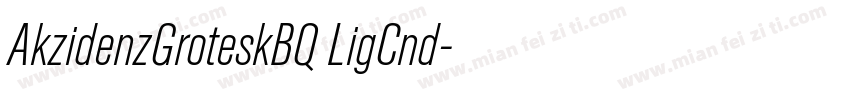 AkzidenzGroteskBQ LigCnd字体转换